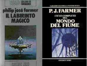 copertina di Il labirinto magico
