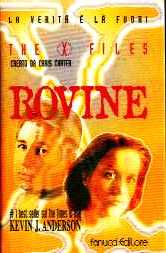 copertina di Rovine