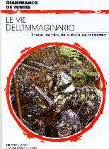 copertina di Le vie dell'immaginario