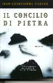 copertina di Il concilio di pietra