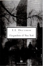 copertina di L'acquedotto di New York