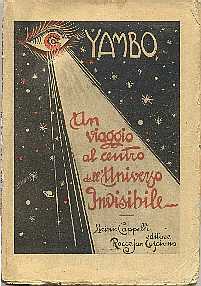 copertina di Un viaggio al centro dell'Universo Invisibile