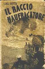 copertina di Il raggio naufragatore