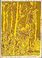 copertina di Foreste Sommerse 2
