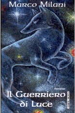 copertina di Il guerriero di luce