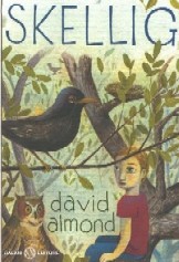 copertina di Skellig
